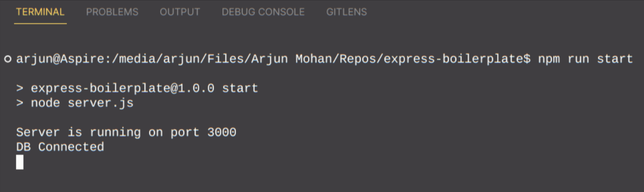 mongo_db_express_terminal